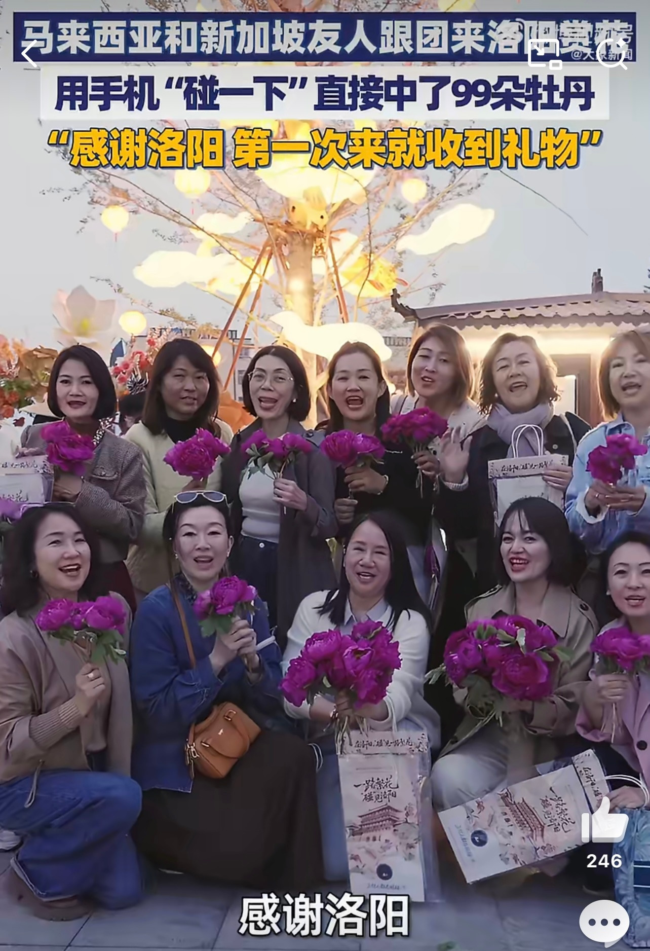 外籍友人组团来洛阳赏花三人才能抱起99朵牡丹花不愧是国色天香！外籍友人专门飞来