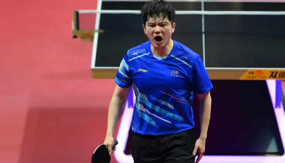 全运会结束后，樊振东未来何去何从，最新概率如下1、樊振东重回国乒icon概率——