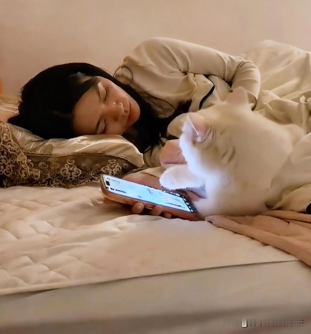 女子早上醒来时，发现握在手里的手机屏幕亮着，里面还播放着短视频，而自己的猫咪就趴