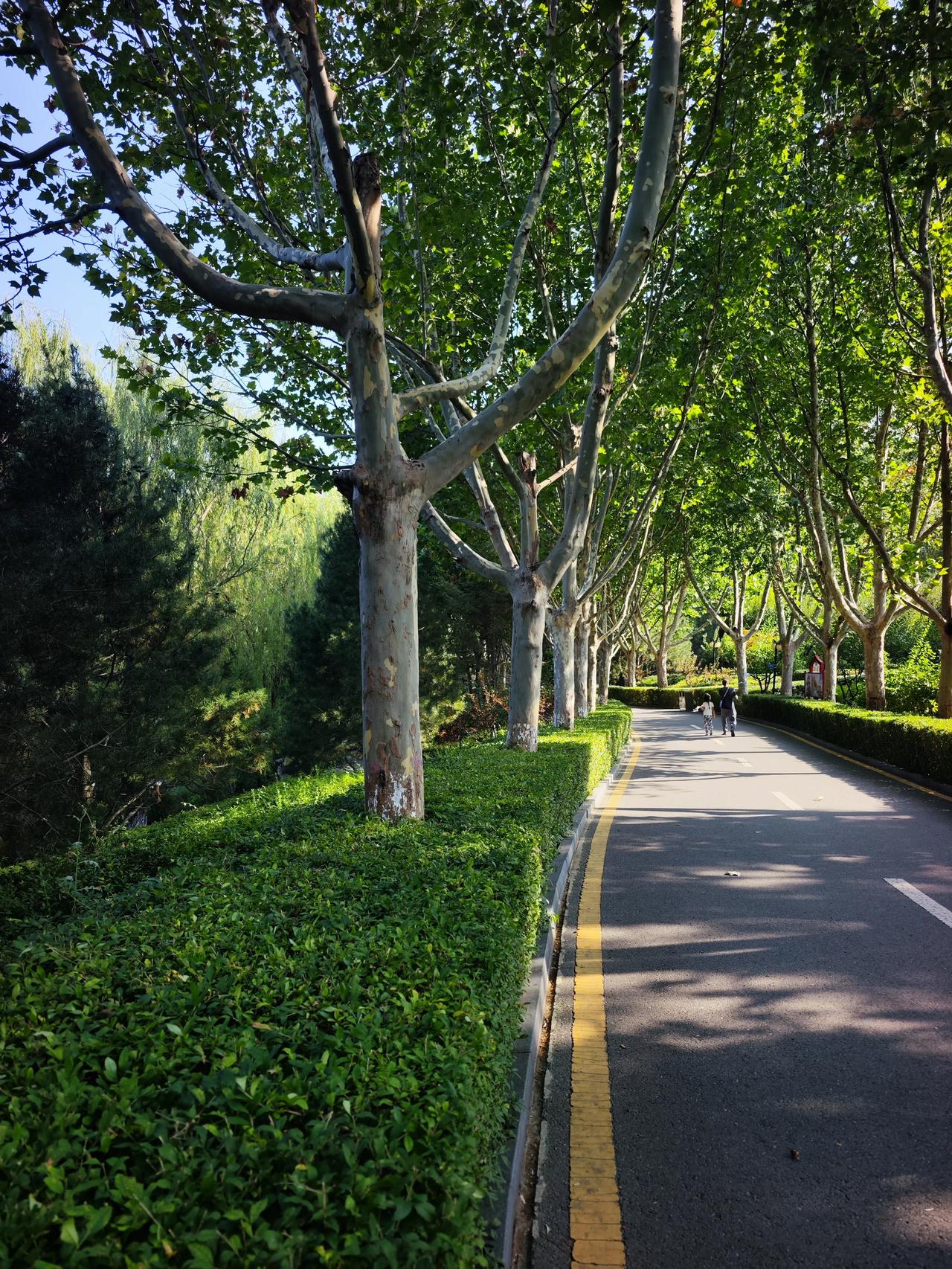 社保专家郑教授，不知道现在有没有后悔，因当初设计的退休金发放方案，受到企业退休人