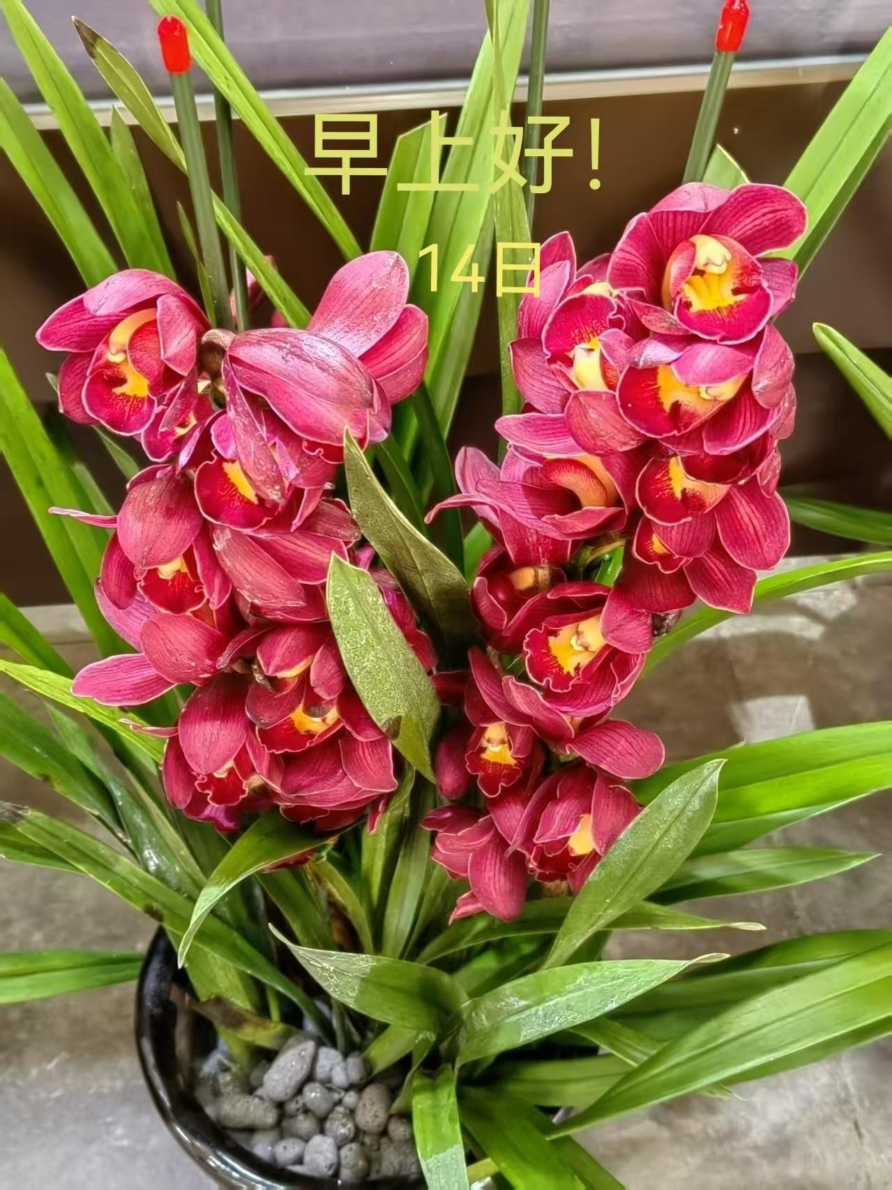 现在的学生家长与老师微信群太多了！什么语文群英语群、班级群，每一科的老师都建