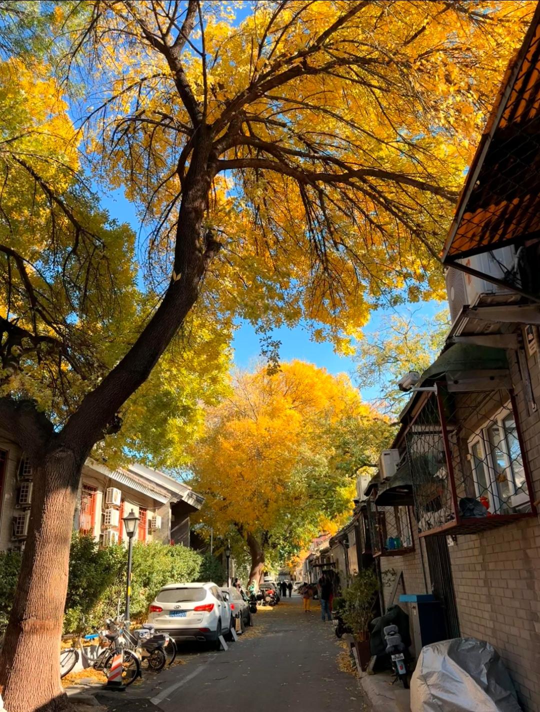 现如今，钱太难借了。最近想把开了八年的旧车换掉，首付还差6万，硬着头皮跟亲戚