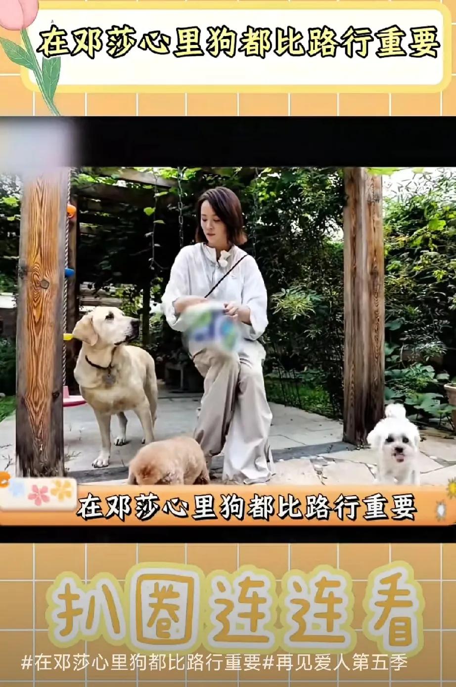 邓莎带已结婚15年的富豪老公路行参加综艺邓莎说自己的压力来源于家人，害怕自己和