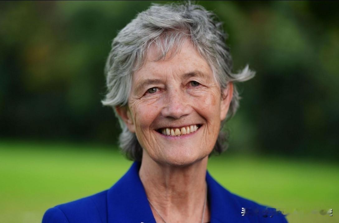 【哈马斯和以色列极右翼政党相互成就】爱尔兰总统选举初步统计数据显示，左