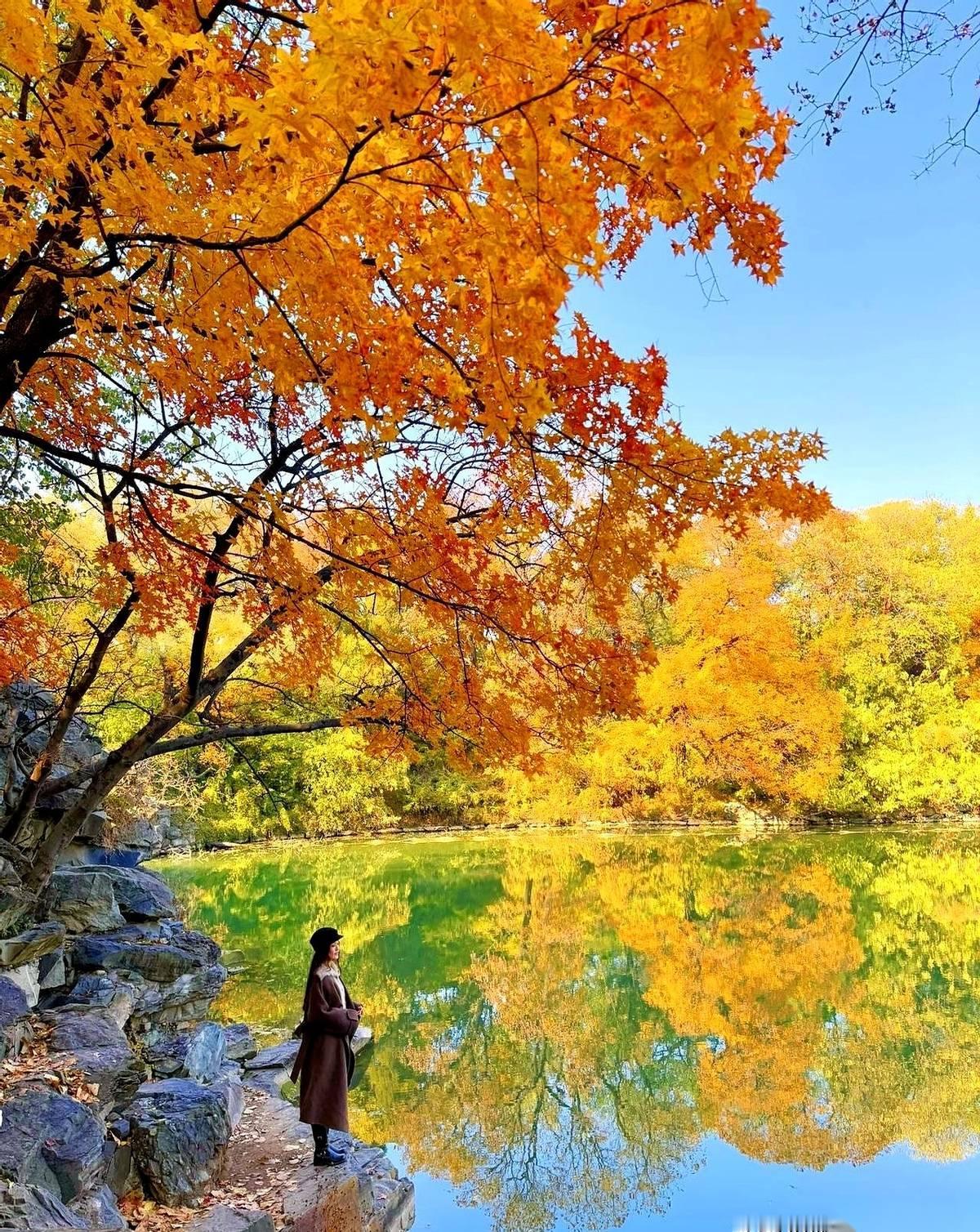 为了18张图去趟北京？别闹了。我跟你说，那些照片，根本就没拍出来。它拍不出