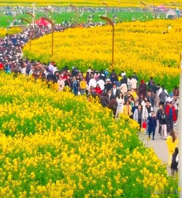 普通人生存的意义是什么？一位大姐在视频中说，目前上海的机器人开始背着包去上班