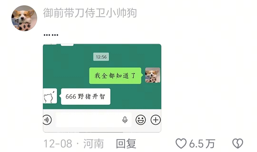 别试，出事别找我