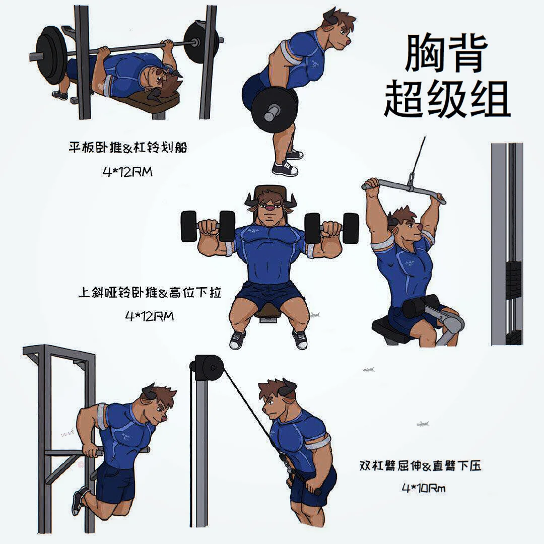 肌肉线条，“炼”爱脑