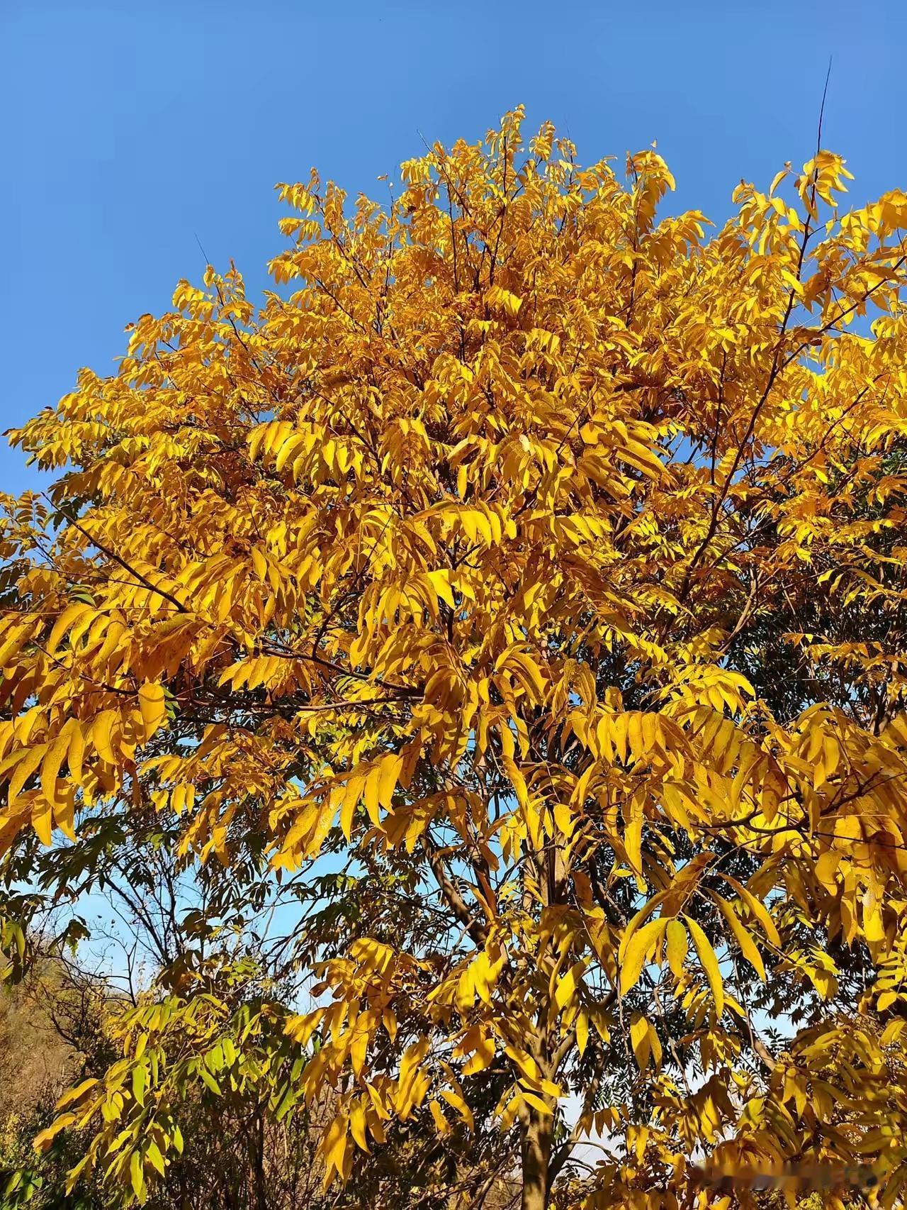 最近听人说，一位已经不在公司的前同事把公司给告了。这位前同事在公司干了整