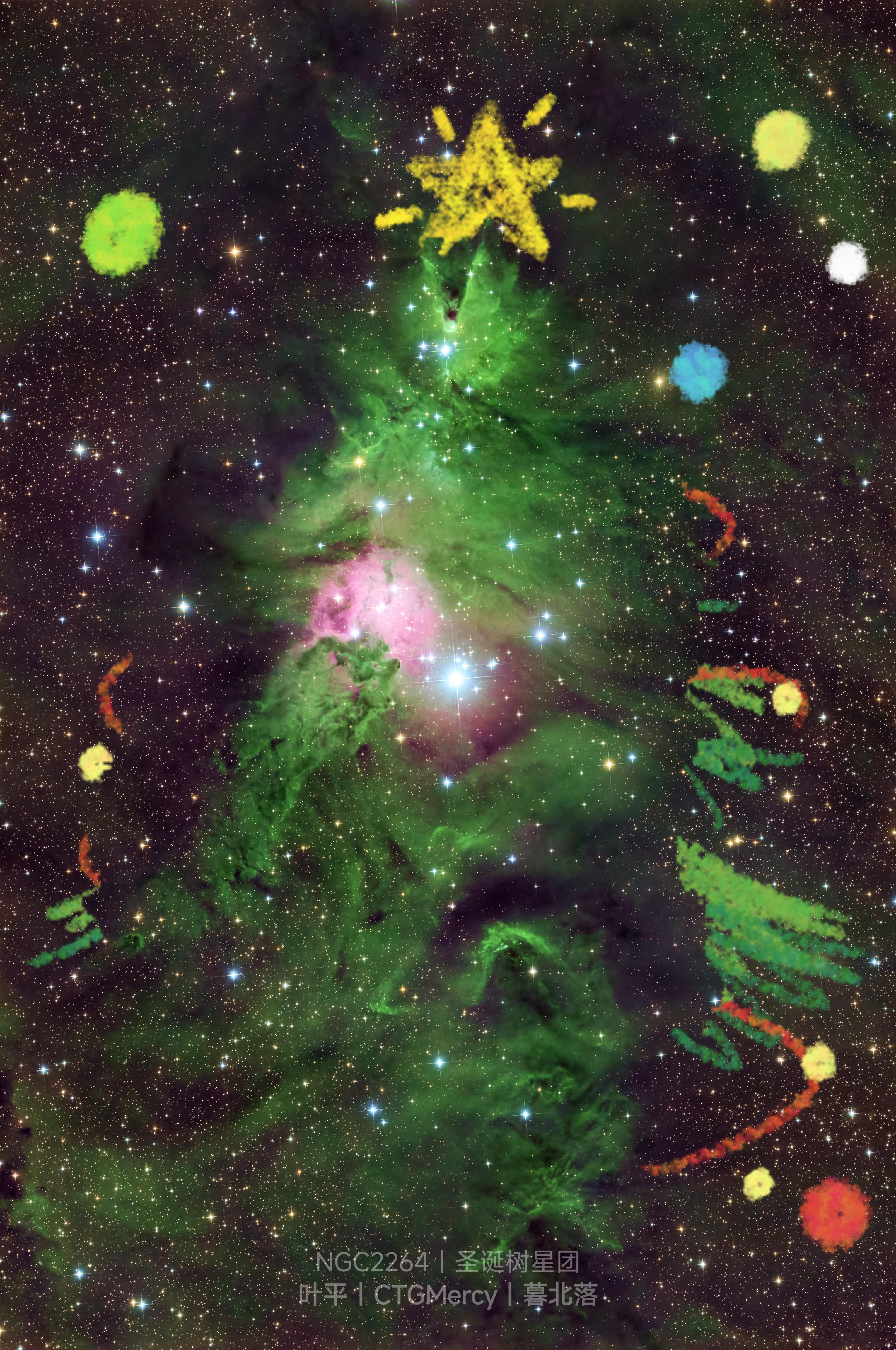 这棵树最神奇的装饰品，是此刻仰望星空的你。送给全宇宙小朋友一棵🌲圣诞...