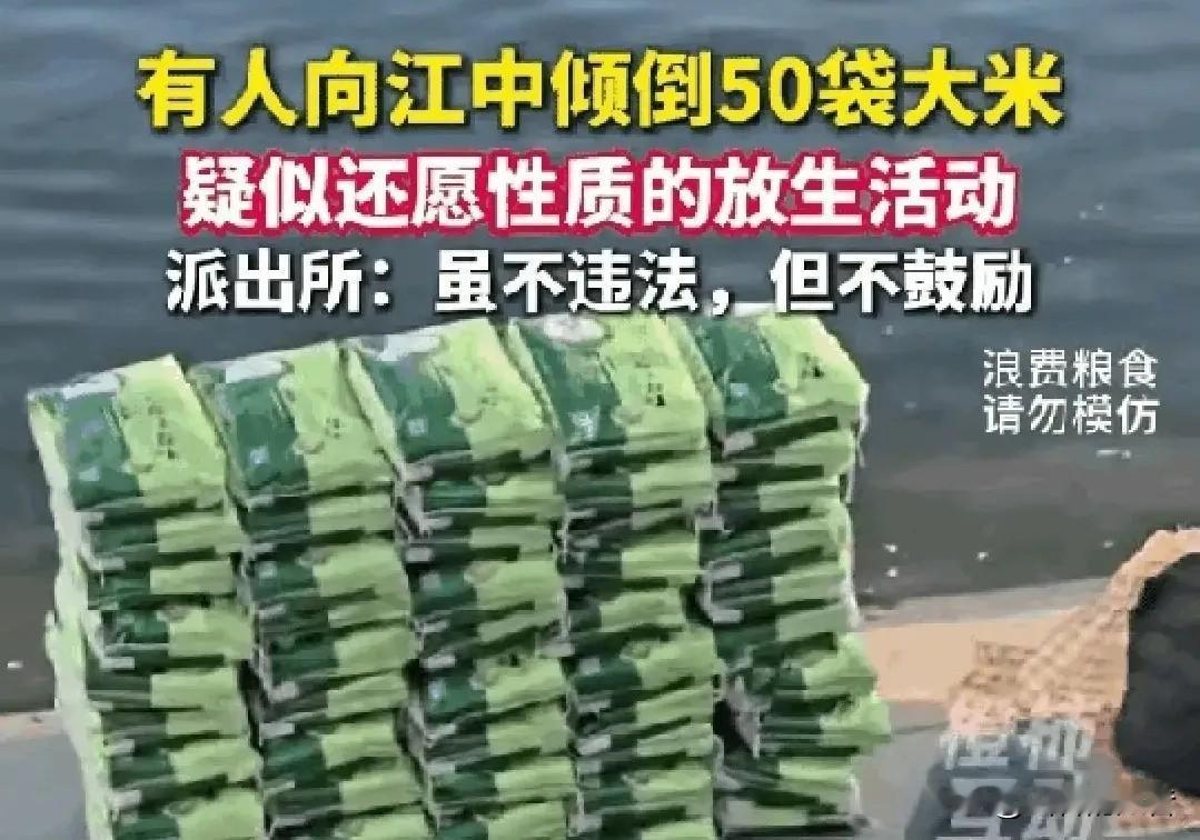 50袋大米被放生，荒唐闹剧又来了。50袋珍珠米码得比人还高，大妈们又是跪又是拜，