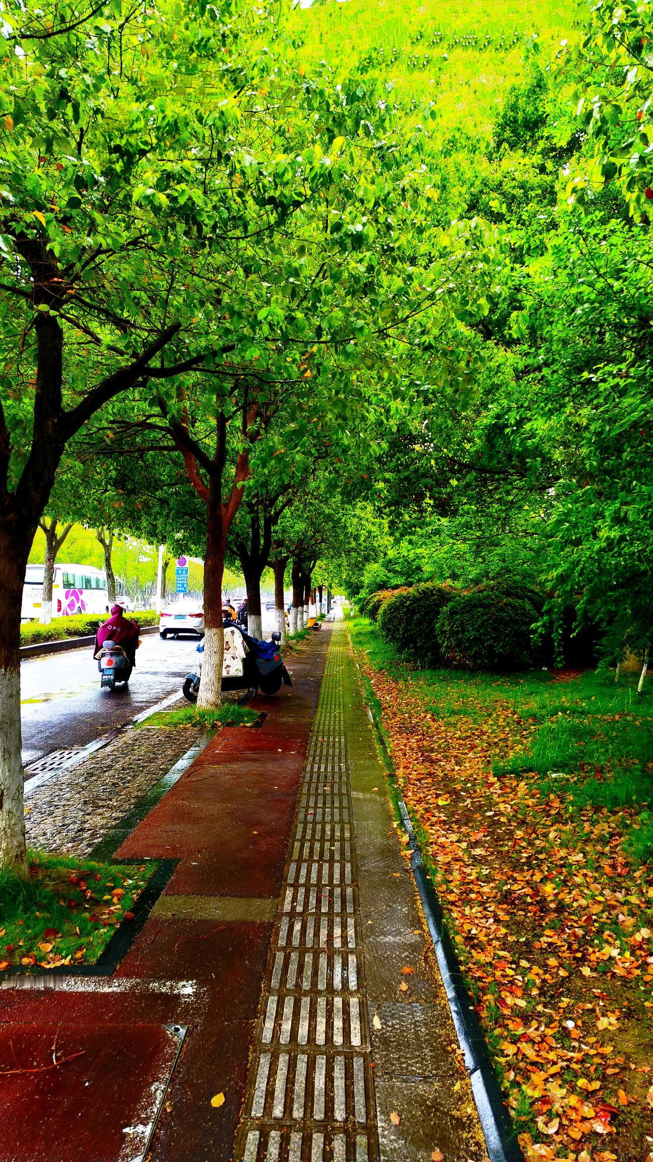 我有个朋友，胃癌早期手术很成功，可术后插着尿管、挂着引流袋，连翻身都得喊护士帮忙