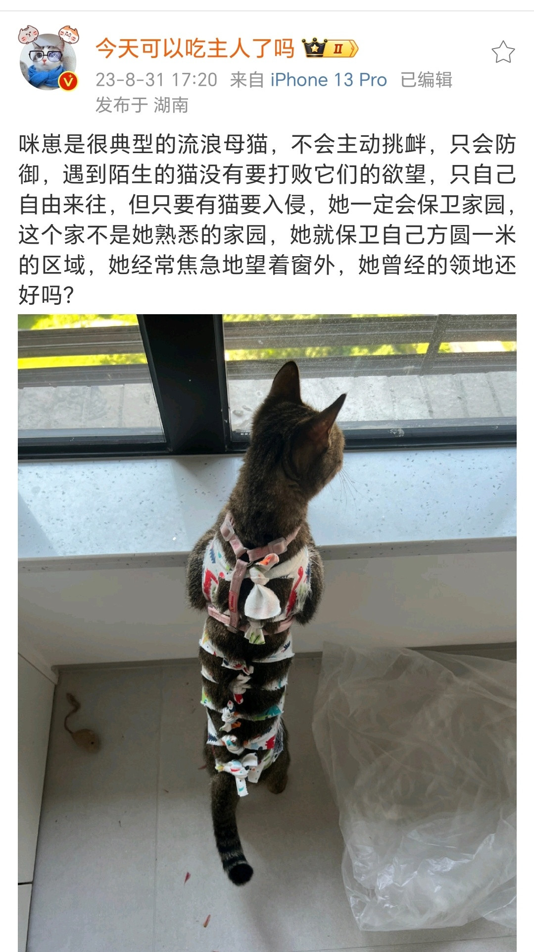 小猫国唯一的姐很温良的姐​​​