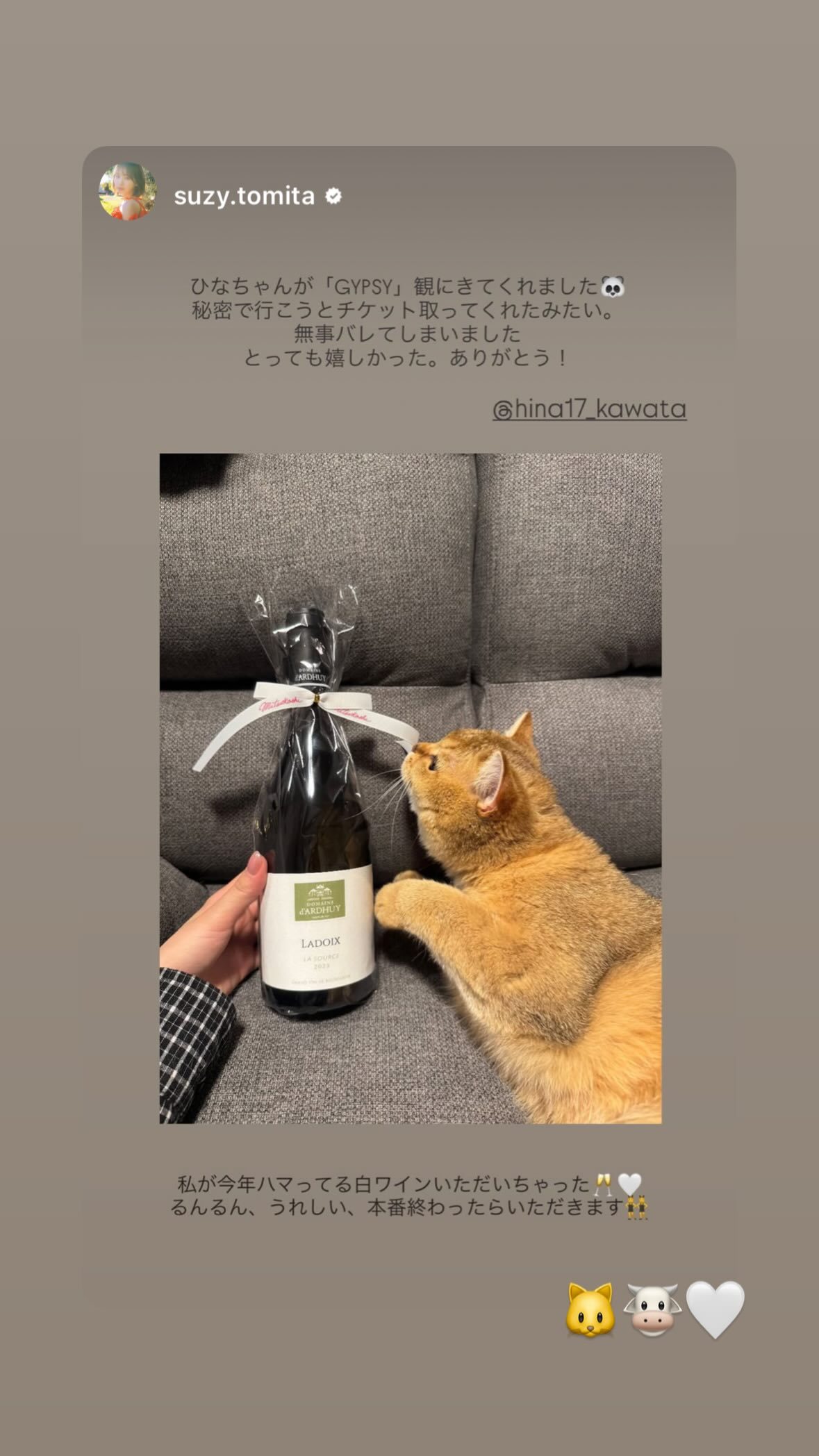 河田陽菜🐼hina17gram