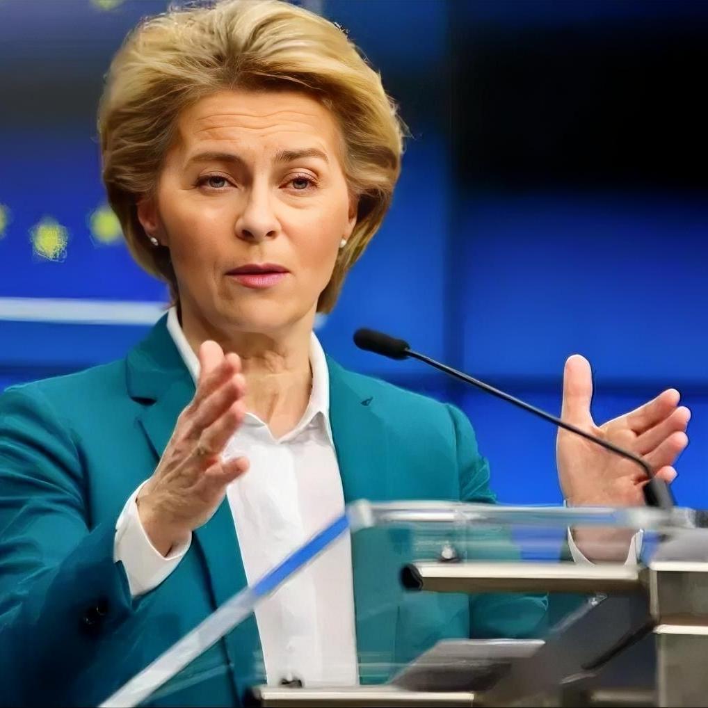 欧洲政客这回是真看明白了吗？近日，欧盟一位官员直言​：我们此前错误地支持美国