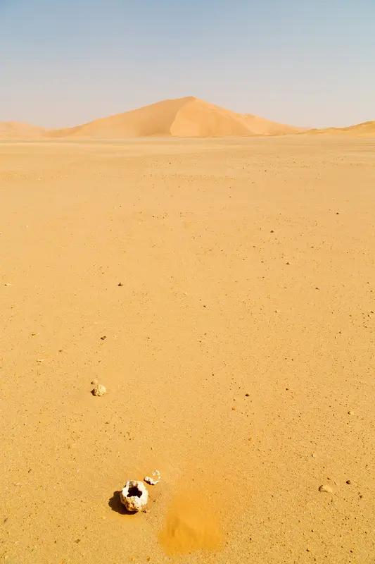 撒哈拉沙漠木乃伊查出全新DNA家人们，《自然》杂志一项研究太炸裂了！科学家从利