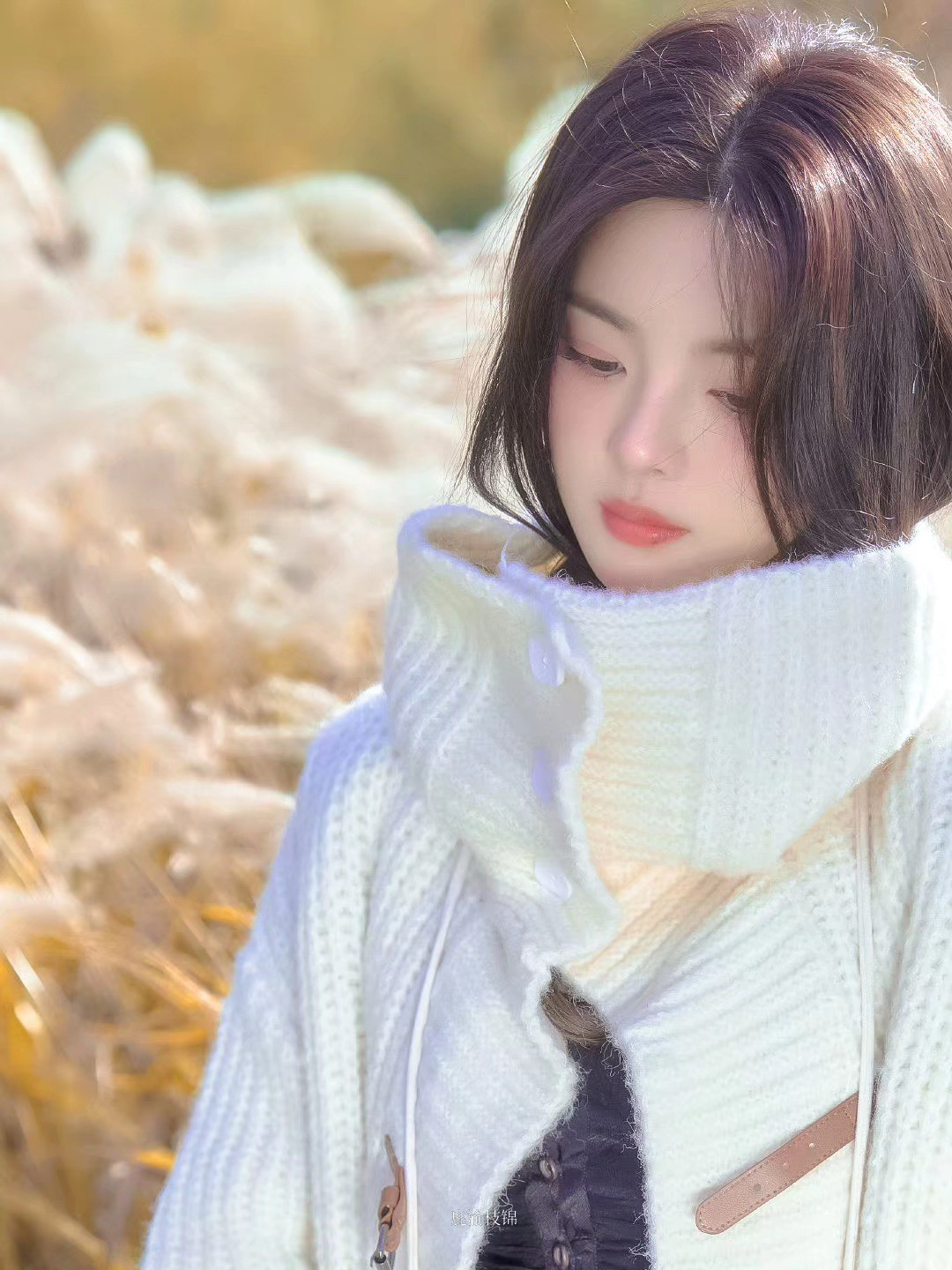 杨超越秋日暖阳​​​