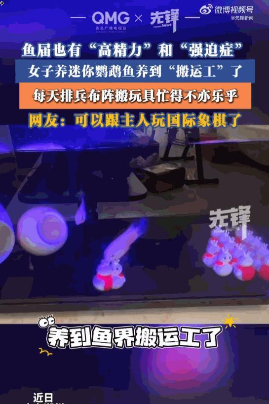 天下之大，无奇不有！广东潮州，一女子第一次尝试在家养鱼，本想着买两条小鱼图个清静