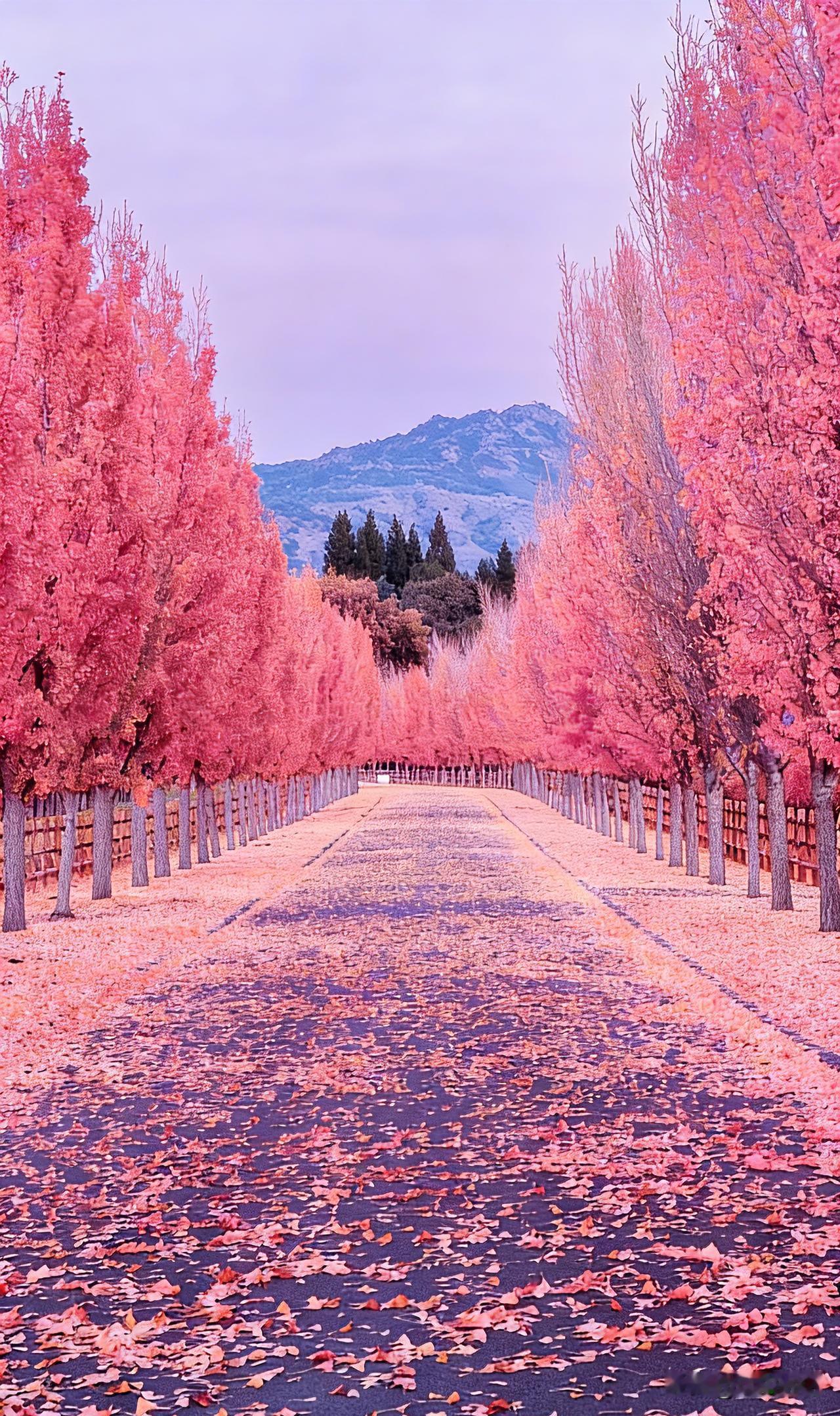 未来3年好好活下去，请狠狠记住这些忠告：1. 外面的饺子、馄饨、肉丸，要少