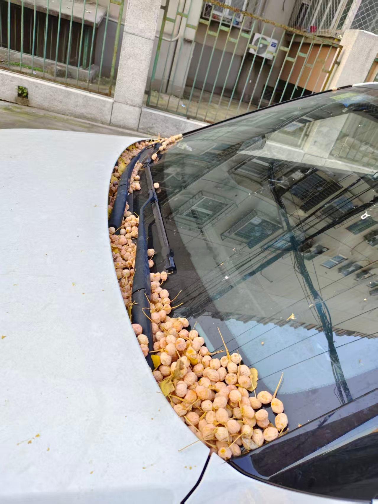 我去，这车的味道，得多酸爽。。。。​​​