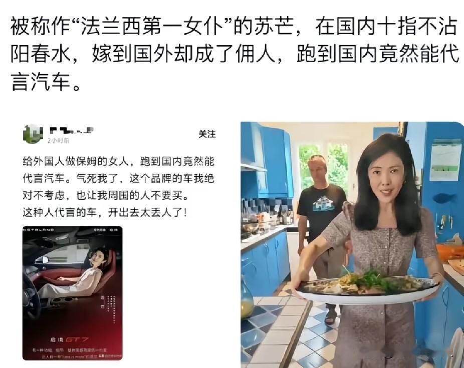被网友嘲讽的“法兰西第一女仆”苏芒，赢麻了躺着收钱，只因有车企找她代言！前几年