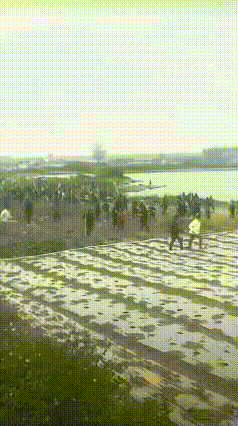 都2026年了，竟还有这样的事情发生。2月17日正月初一，正值大过年，据多位当