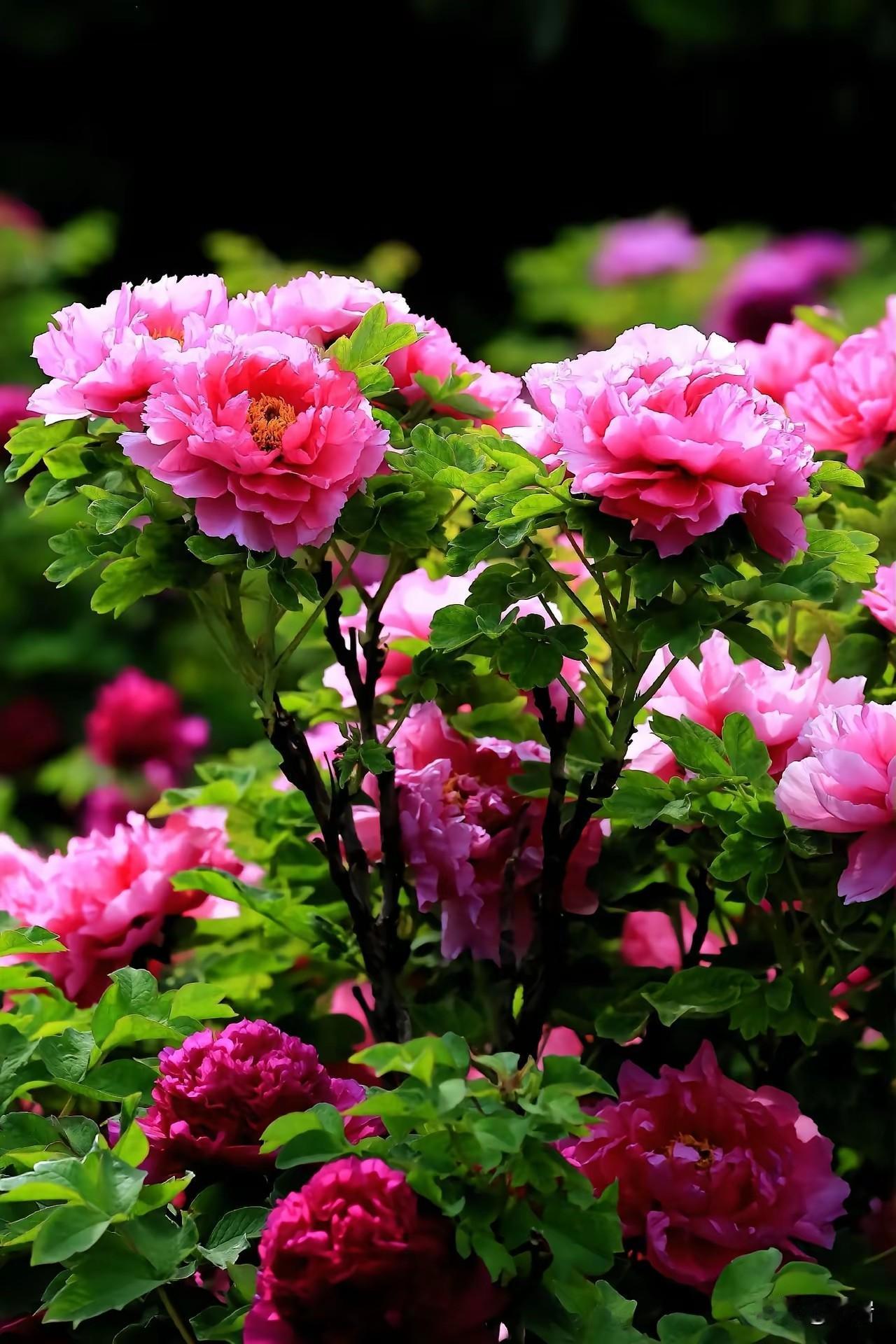 少生病的好习惯一、早睡，比什么补药都强-尽量23点前睡，熬夜一