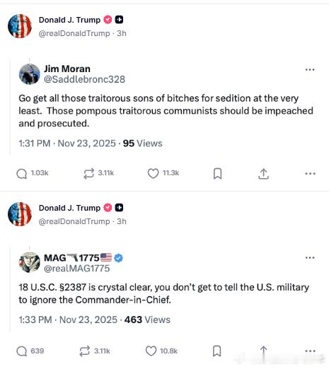 【黄金时代】川普总统转发道：“至少应该以煽动叛乱罪起诉那些叛国的混蛋。”“那些傲