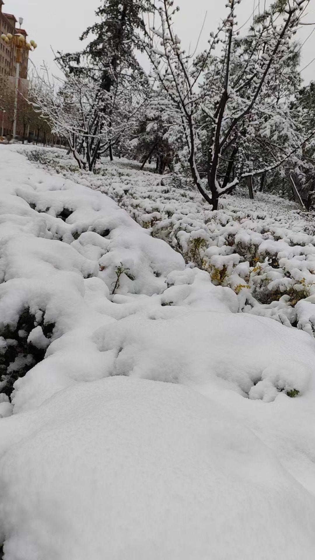 五月的甘肃❄️[玫瑰]网友发的甘肃张掖民乐县照片五月的雪​​​
