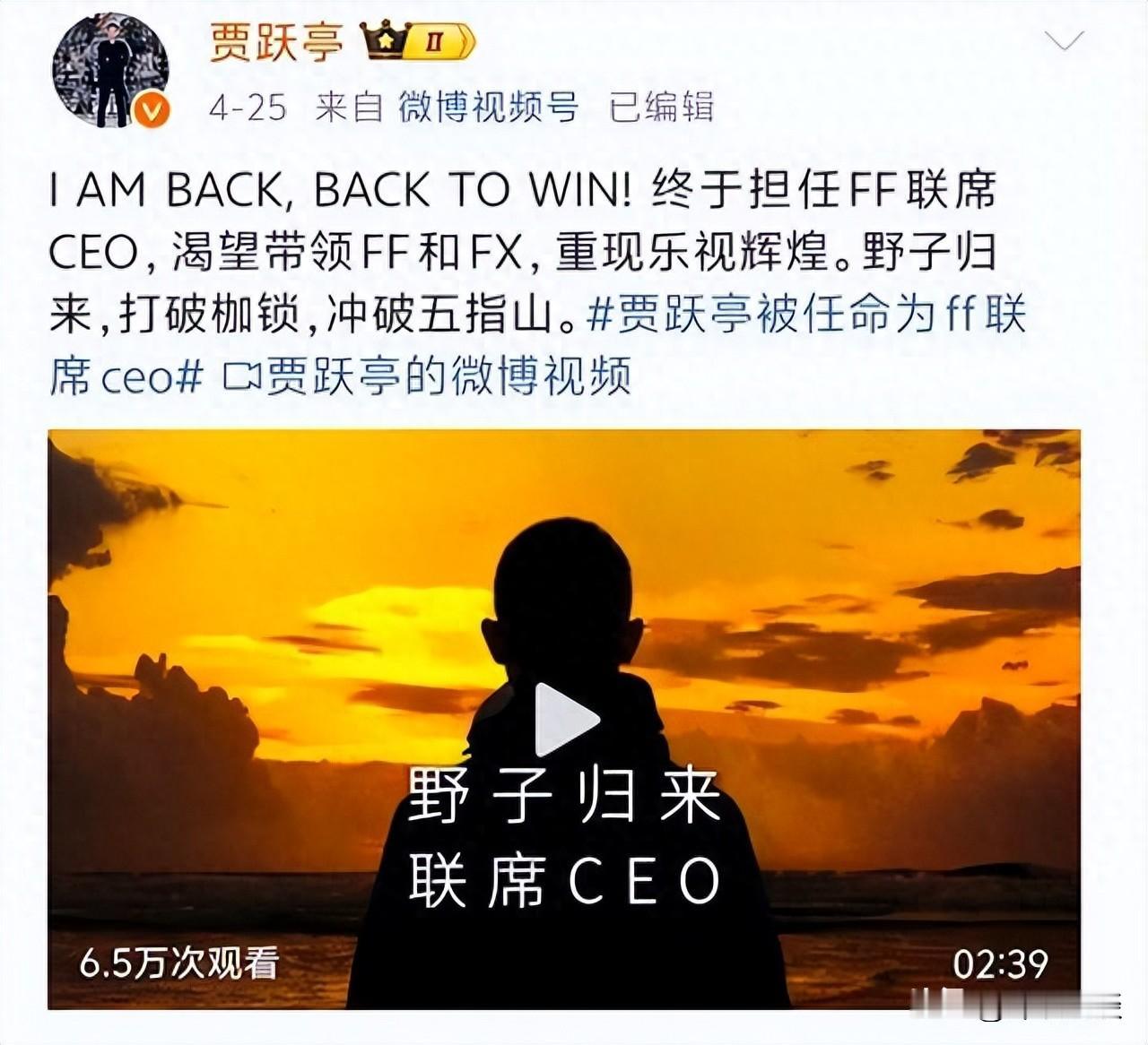 贾跃亭创办乐视网，乐视电视和乐视手机，足以证明其产业和战略眼光；其率先提出创办