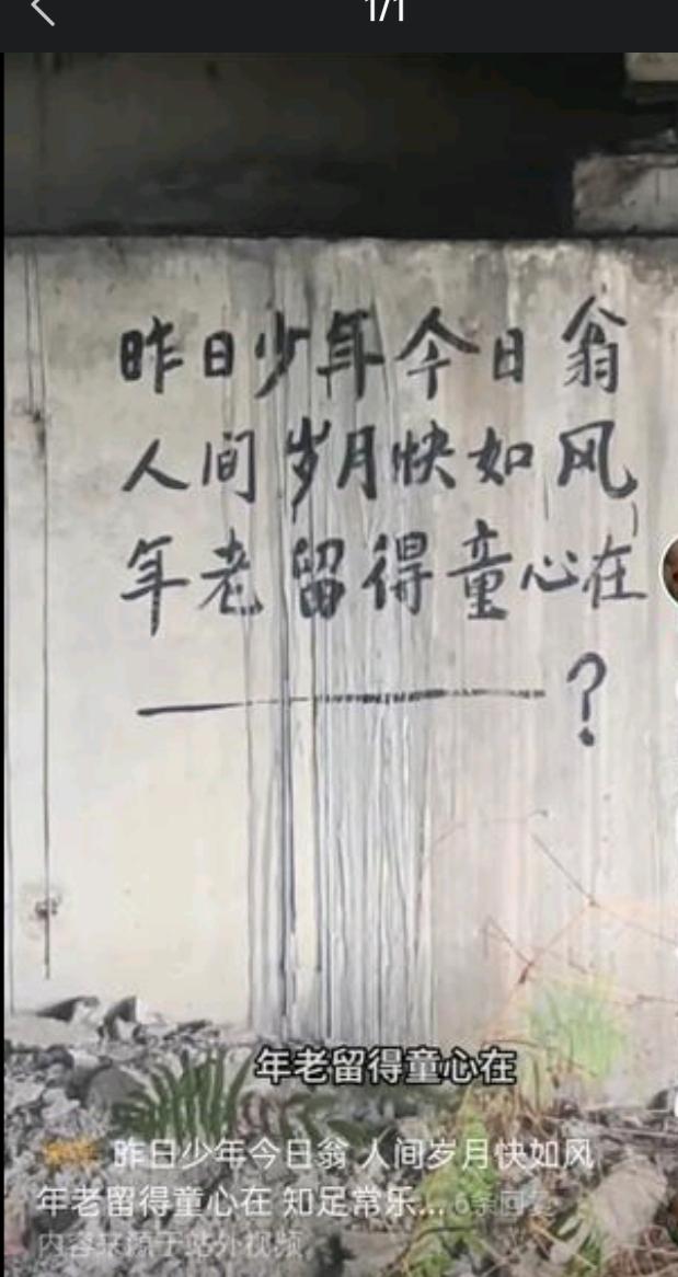 桥底下，不知道哪个流浪汉留下了半阕诗。昨日少年今日翁，人间岁月快如风。年老