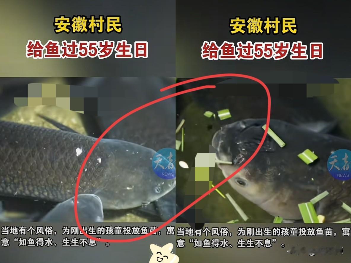 安徽，一老人为了保佑刚出生的女儿，养了一条鱼，结果女儿今年55岁了，这条鱼依然健