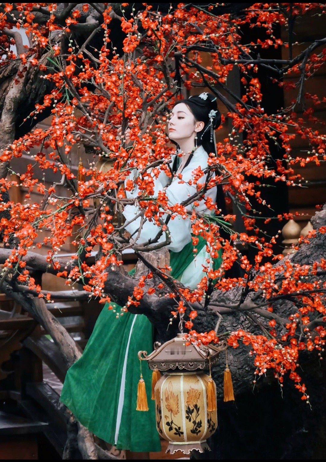 🍉迪丽热巴陈飞宇新剧repo《慕胥辞》品相可期！导演镜头精准，视效营造出