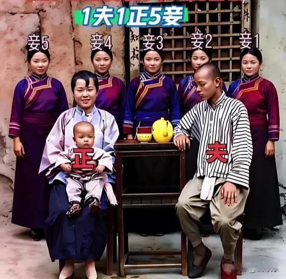 深宅旧影，六女伴一君，红墙锁住半生浮沉。名分分高低，情意无均等，庭院里藏尽多少