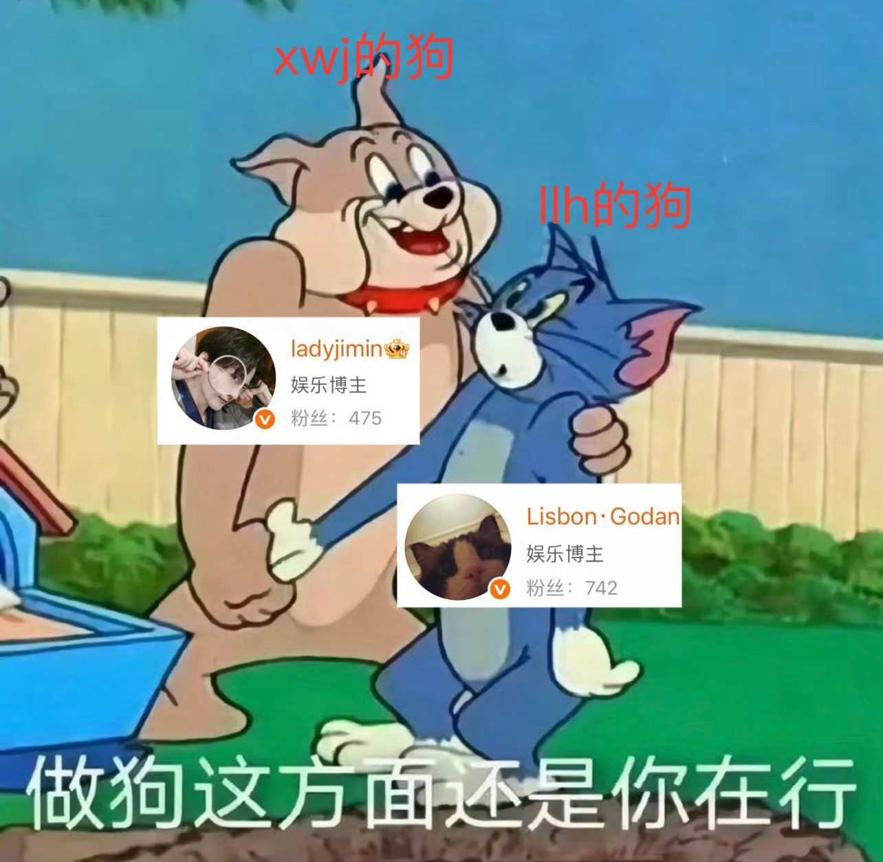 大妈你到底咋了？lql对不起你什么了？你丑恶的嘴脸跟许伟建一模一样！捡垃圾被ll