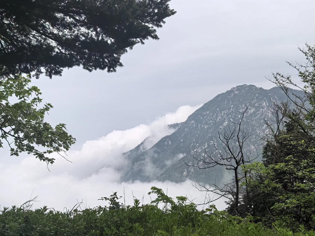 退休老人自驾游出行最好避开节日长假、免高速费的时间段。理由有三：一，节日长假，