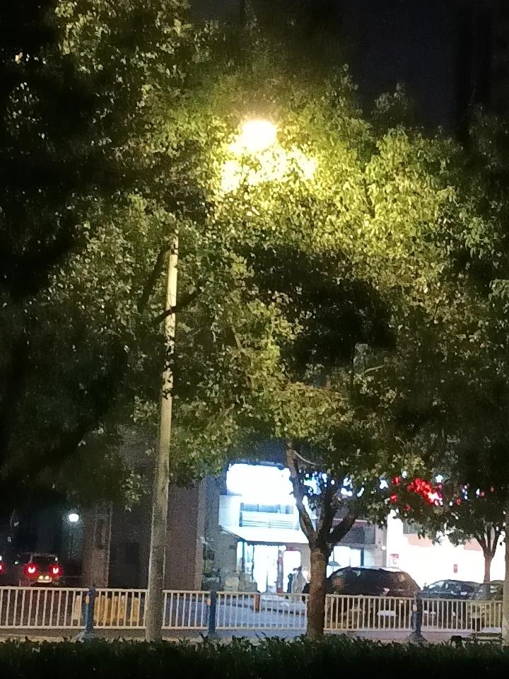 乳腺癌是不是跟心情一方面有关呢?是的，跟情绪有很大关系！所以心态放好，不要容易生
