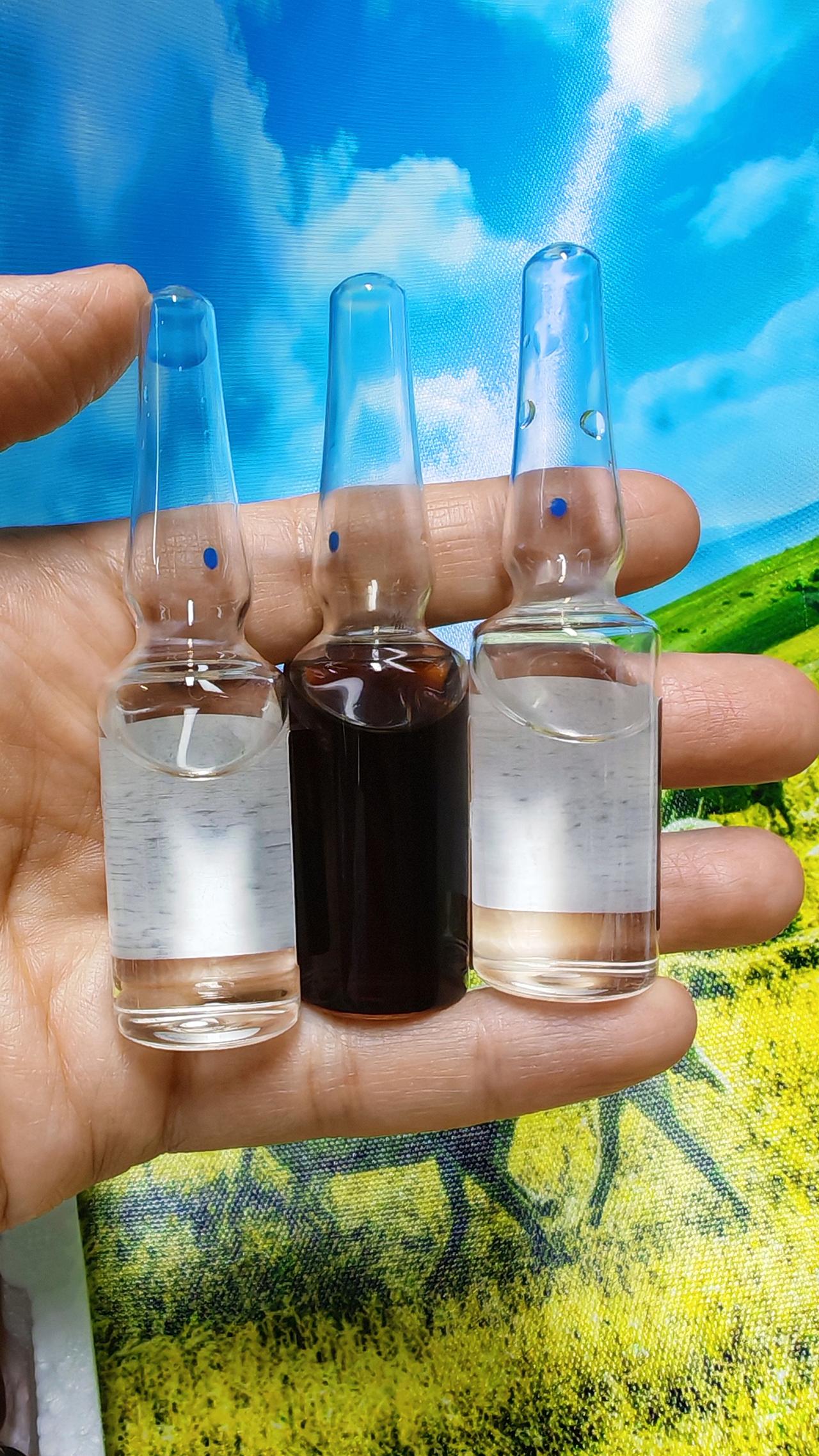 养羊人农村养羊牛羊养殖