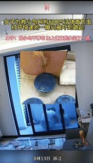 “笑岔气了！”浙江一女子在马路上，捡到一只虚弱的小鸟，看网上说吃虫才能活，就网购