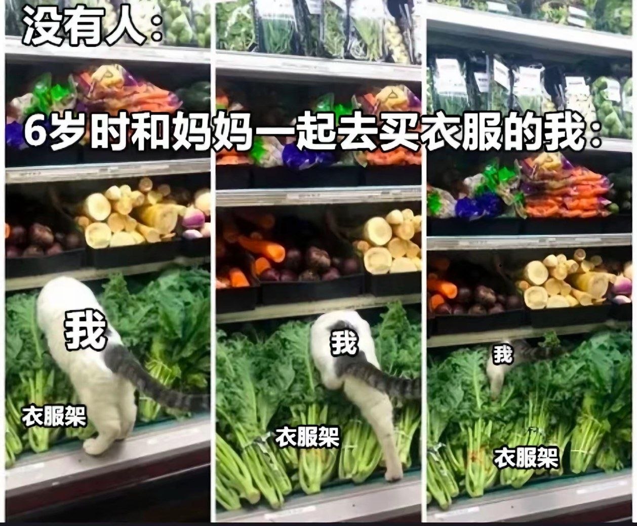 衣服凉凉