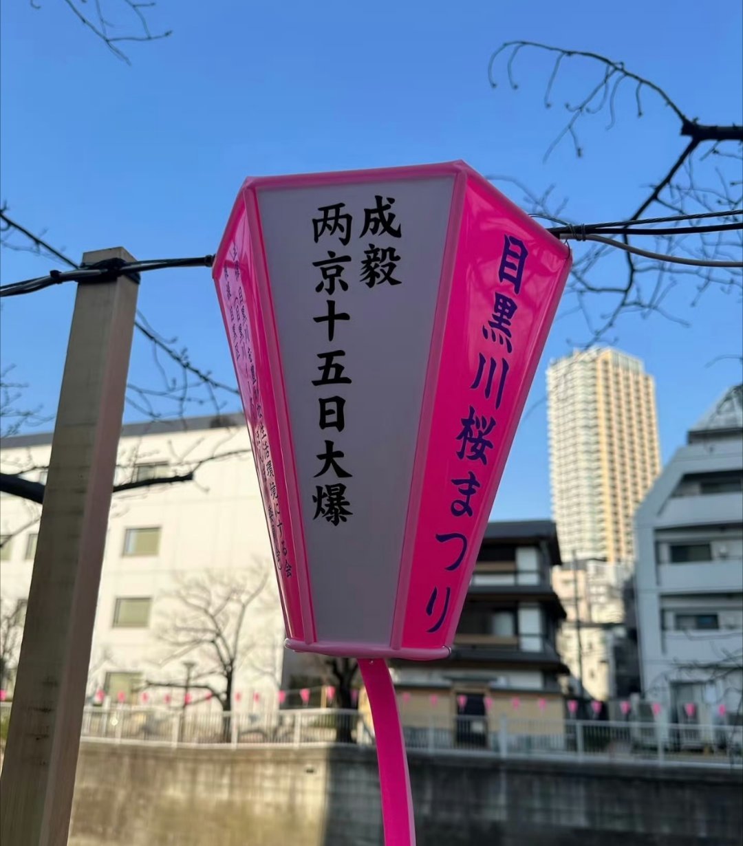 这两天在网上看到成毅粉丝维权的相关博文，既震惊又心酸。震惊的是，成毅朱瞻基在剧中