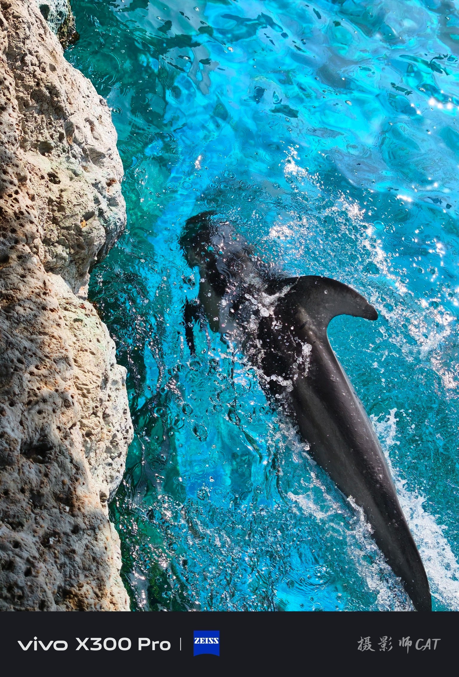 摄影师Cat使用vivoX300Pro拍摄的海洋生物。画面中海水呈现出丰富的