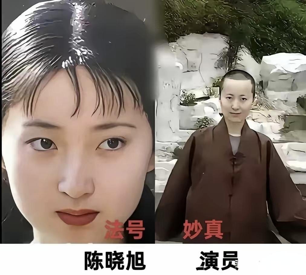 在这皈依佛门的六位明星当中，最让人遗憾的就是演员陈晓旭，陈晓旭因在1987年版电
