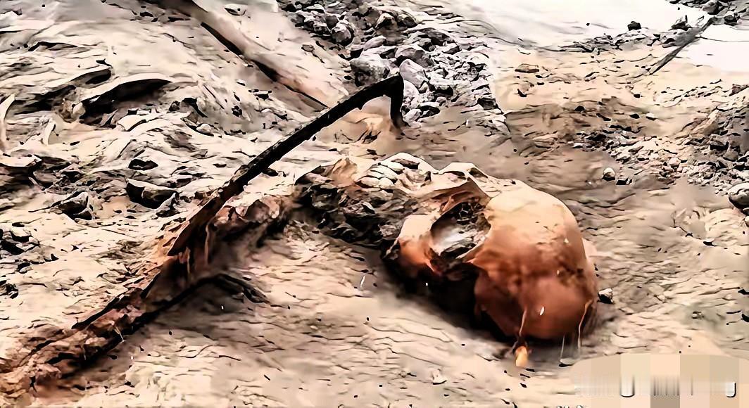 83年尘埋，1068具遗骸重见天日！河南舞钢的这片黄土下，竟藏着如此壮烈的忠魂，