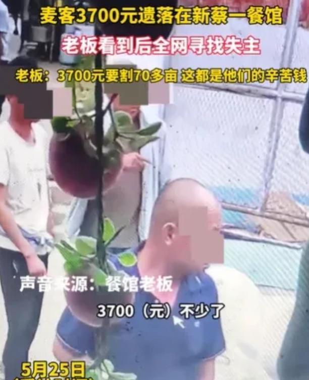 河南新蔡，4名麦客辛苦收割70多亩麦子，挣了3700元。吃饭时，他们把钱落在了餐