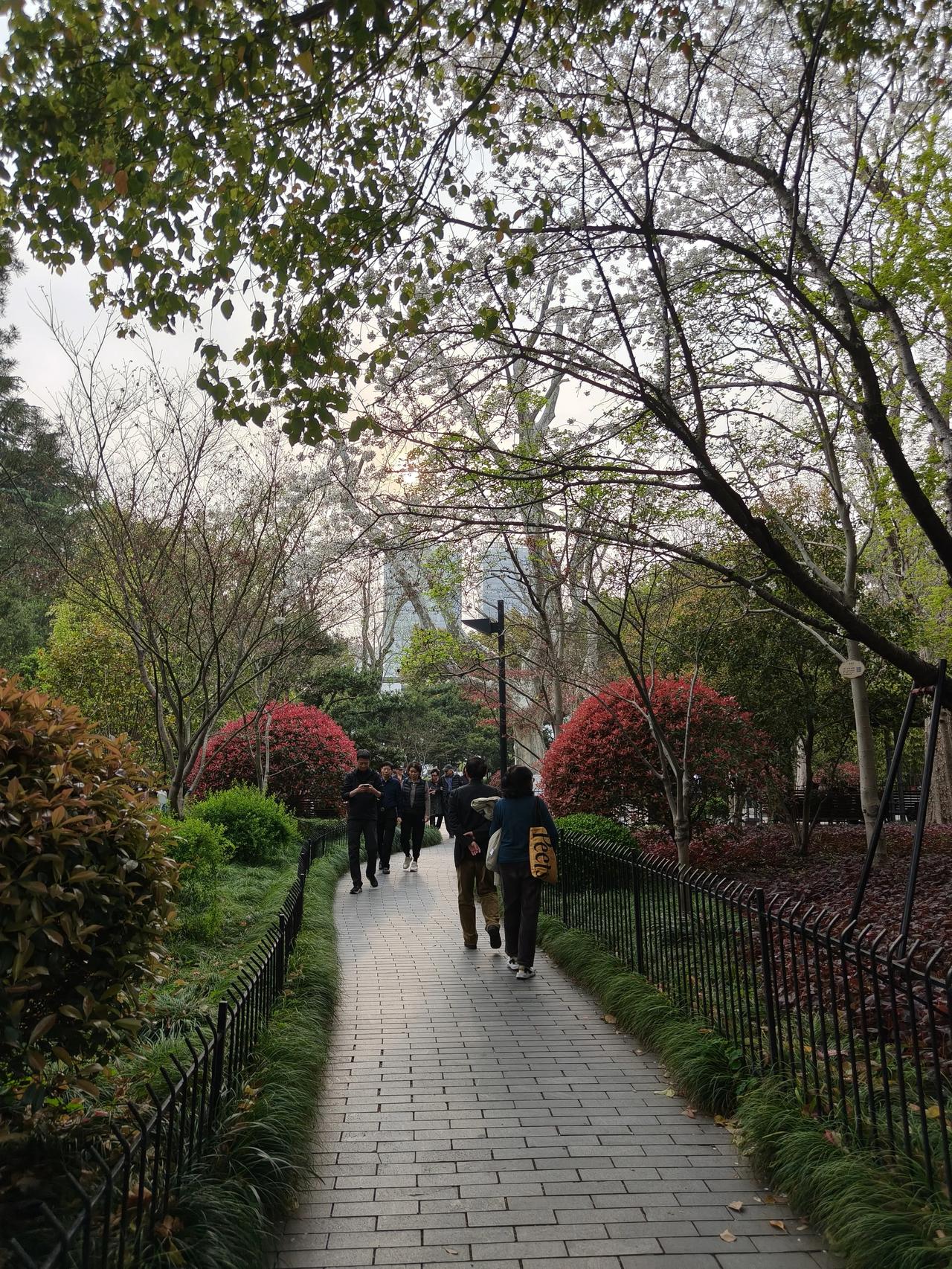 今天是清明假期第一天，到鲁迅公园看樱花🌸去了!人🉑真多，还好部分路段限流