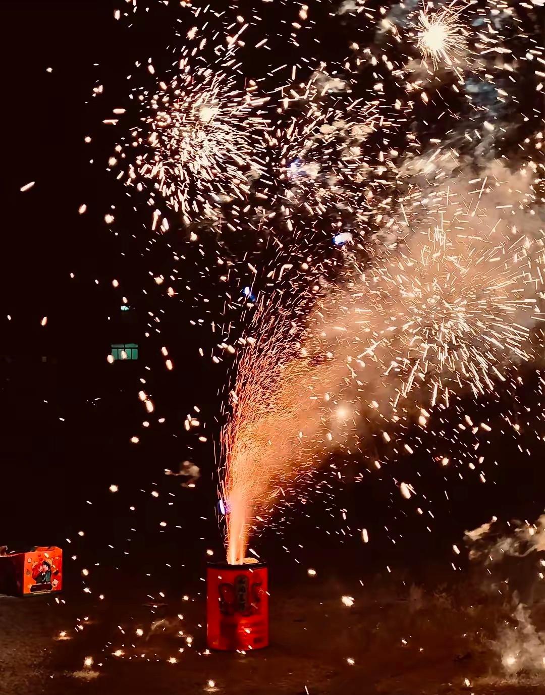 大家有没有发现天津今年对烟花爆竹的管控相当严格。今天都腊月二十五了，最近自己还没