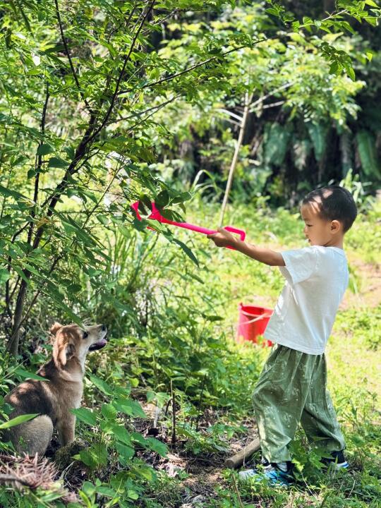 孩子其实真的没那么在乎去哪儿玩。