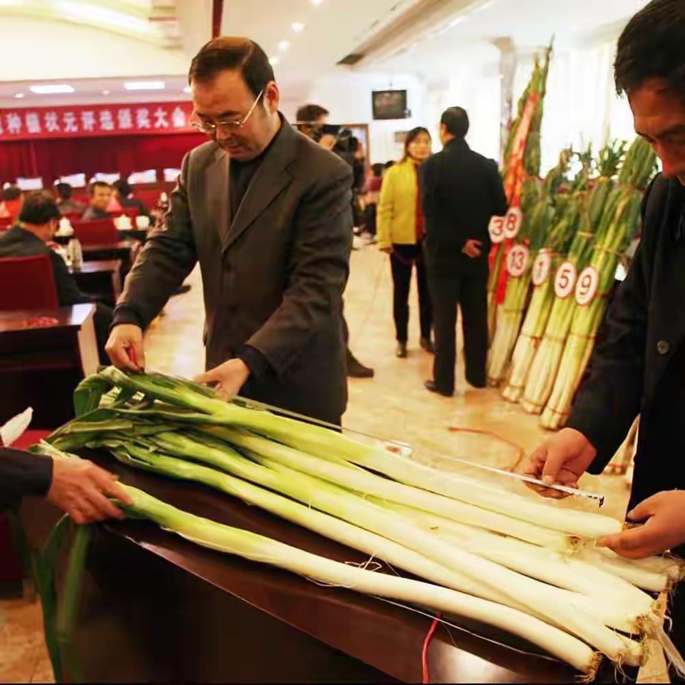 山东为啥专出