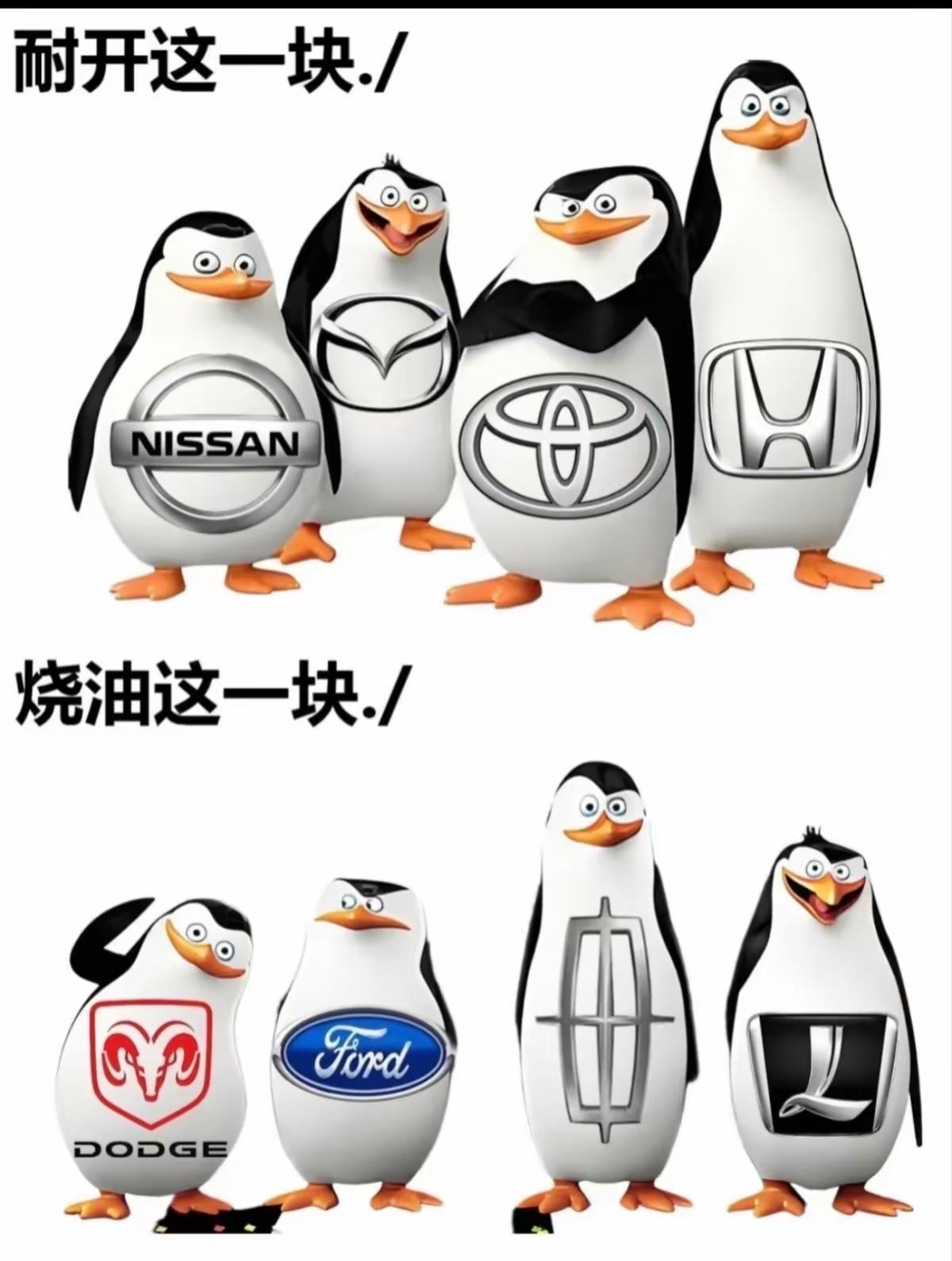 哈哈，我觉得最后那个最实在[笑着哭]